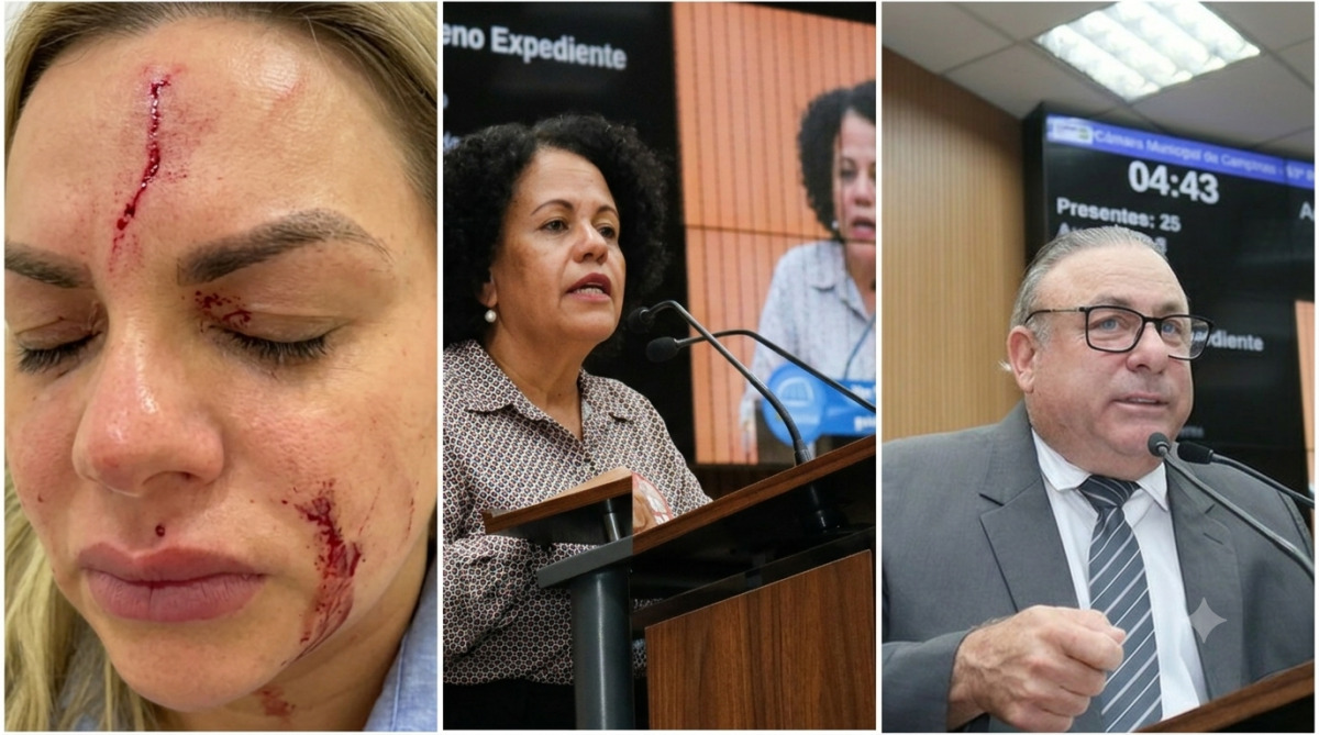 Vereadora Calixto pede Comiss&atilde;o Processante contra vereador Salvetti por agress&atilde;o &agrave; mulher