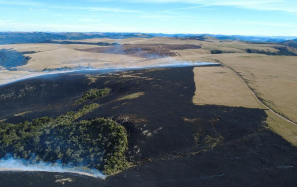UFSC orienta primeira a&ccedil;&atilde;o de manejo do fogo em S&atilde;o Joaquim