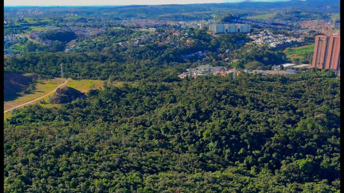 Entidades acionam a Justi&ccedil;a e TCU para barrar o leil&atilde;o da Fazenda Remonta