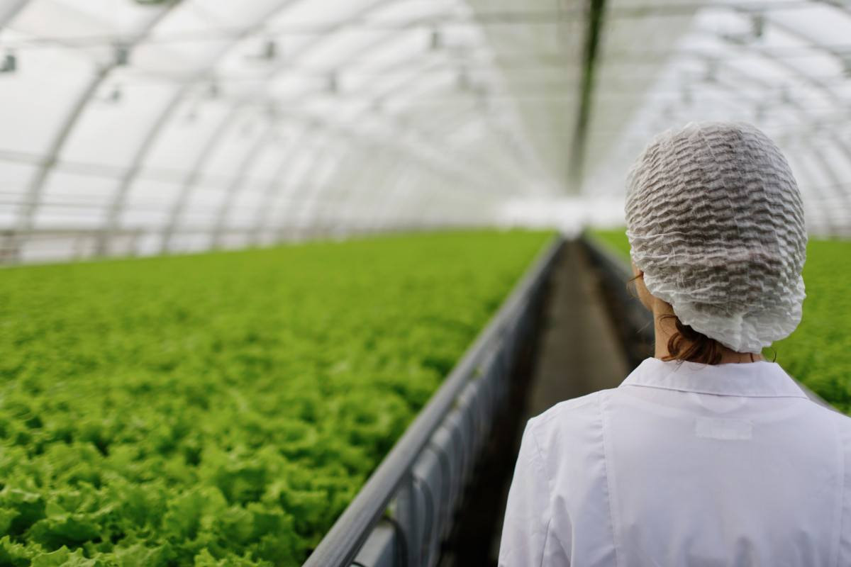 Programa amplia apoio &agrave; agricultura na capital paulista
