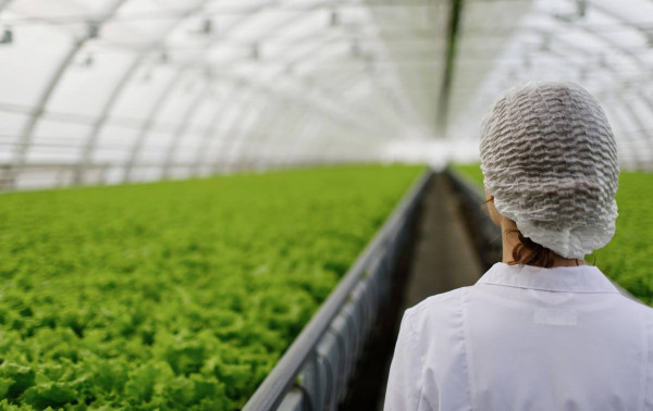 Programa amplia apoio &agrave; agricultura na capital paulista