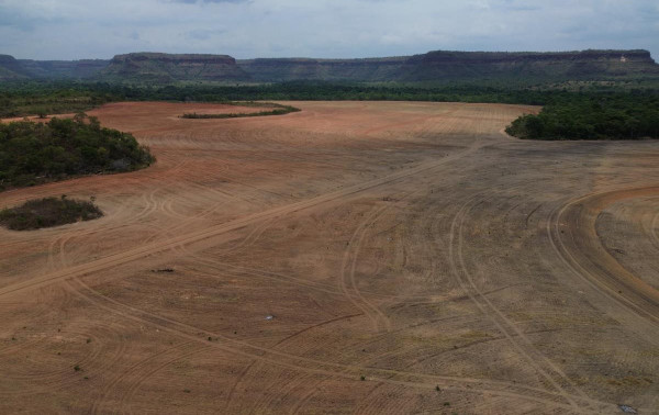 Avan&ccedil;os na rastreabilidade ambiental da soja e da carne