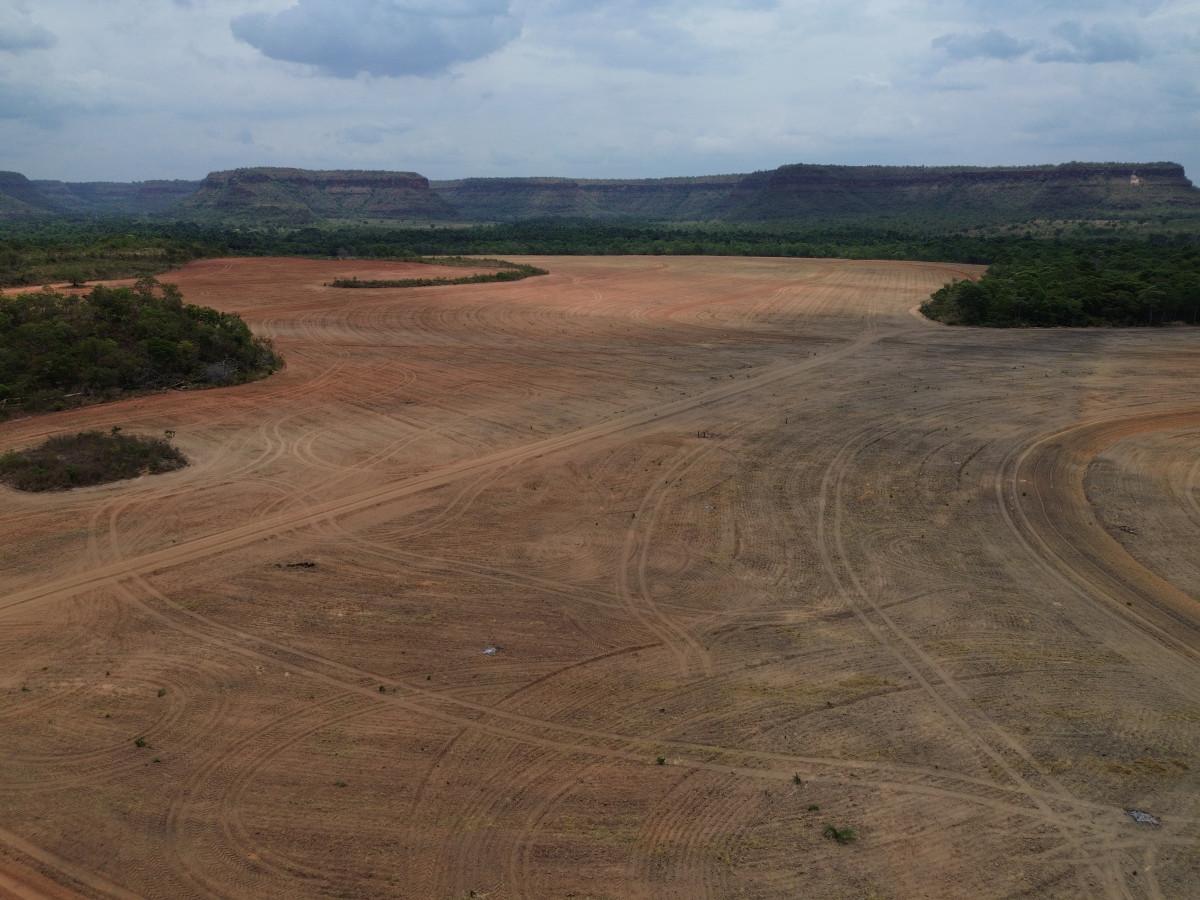 Avan&ccedil;os na rastreabilidade ambiental da soja e da carne