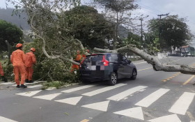 Alerta severo: defesa Civil envia aviso para celulares por risco de ventania; rajadas podem chegar a 76 km/h