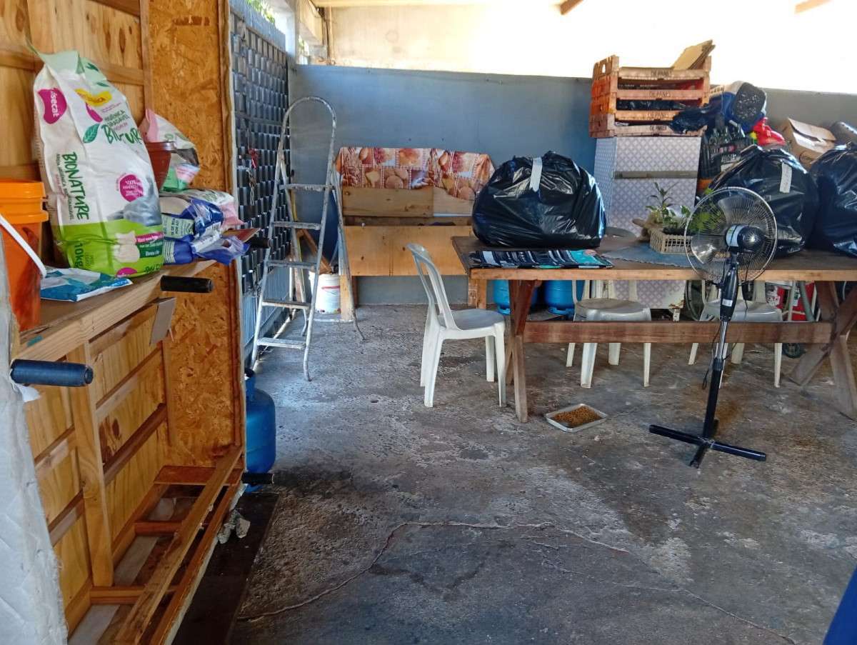 Americana interdita casa de repouso irregular no S&atilde;o Jer&ocirc;nimo
