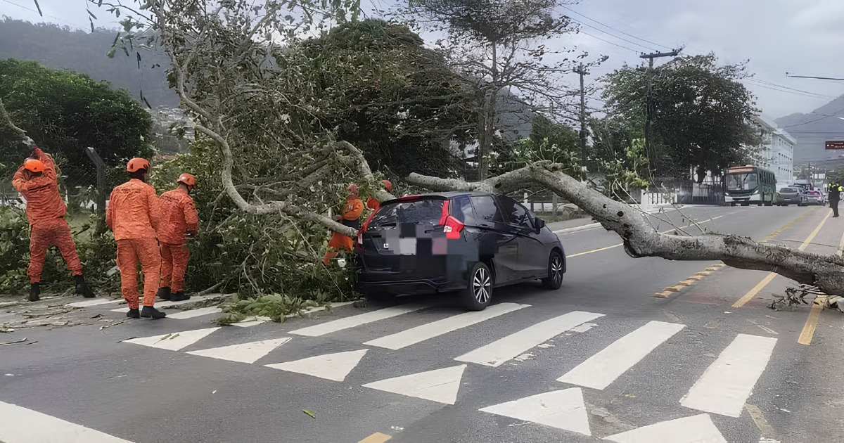 Alerta severo: defesa Civil envia aviso para celulares por risco de ventania; rajadas podem chegar a 76 km/h