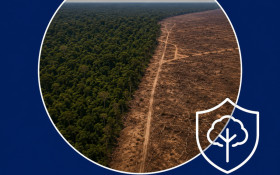 Estudo prop&otilde;e ampliar prote&ccedil;&atilde;o legal no entorno de terras ind&iacute;genas