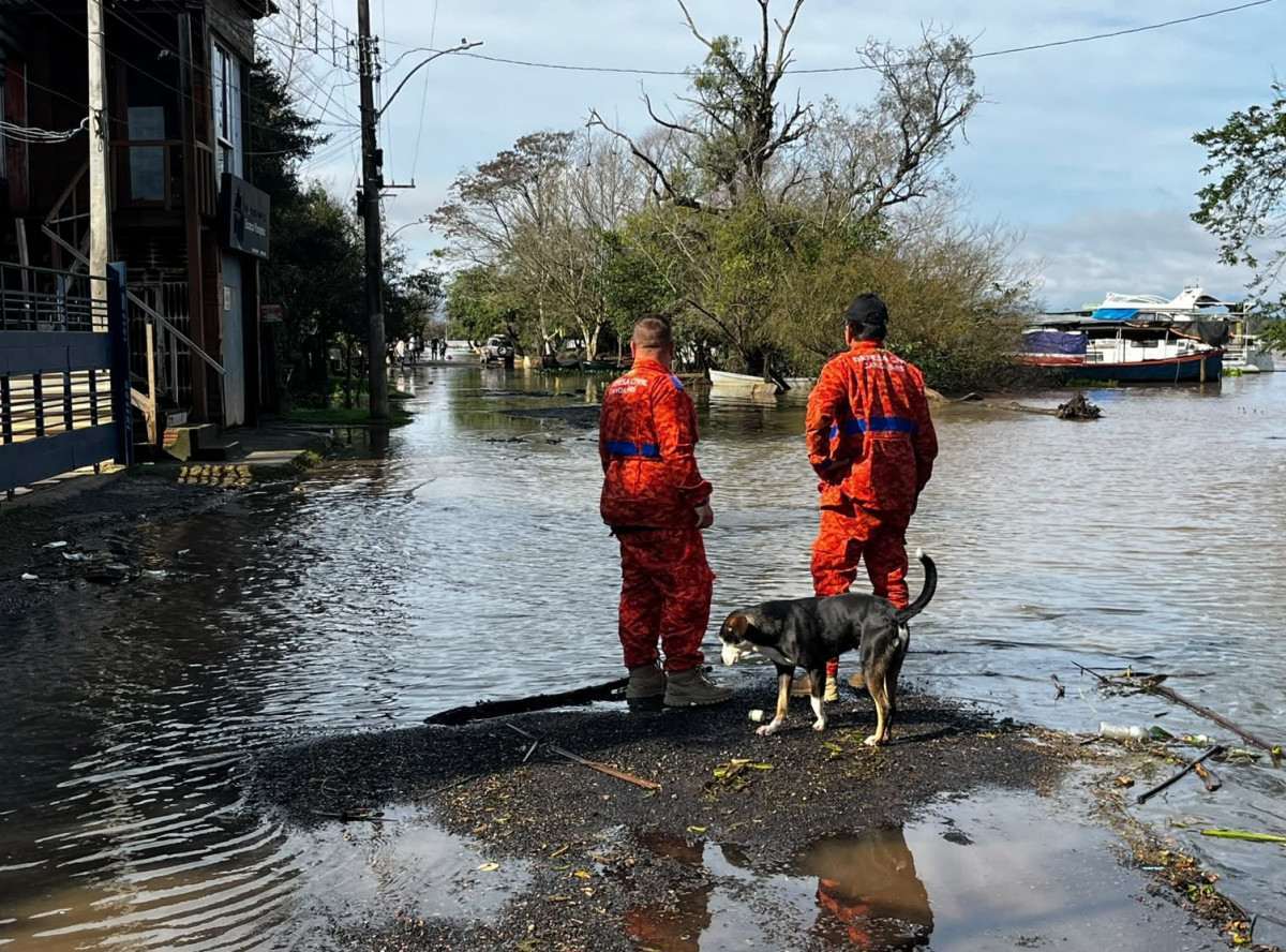 Emerg&ecirc;ncia reconhecida em cidades do RS