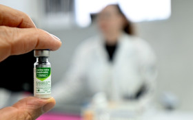 Campinas confirma primeiro caso de raiva em gato desde 2016