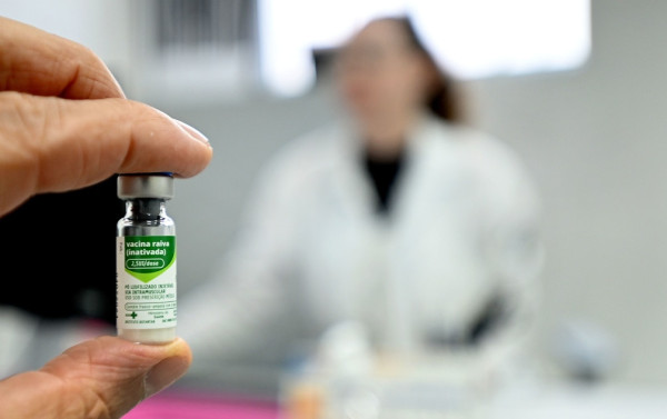 Campinas confirma primeiro caso de raiva em gato desde 2016