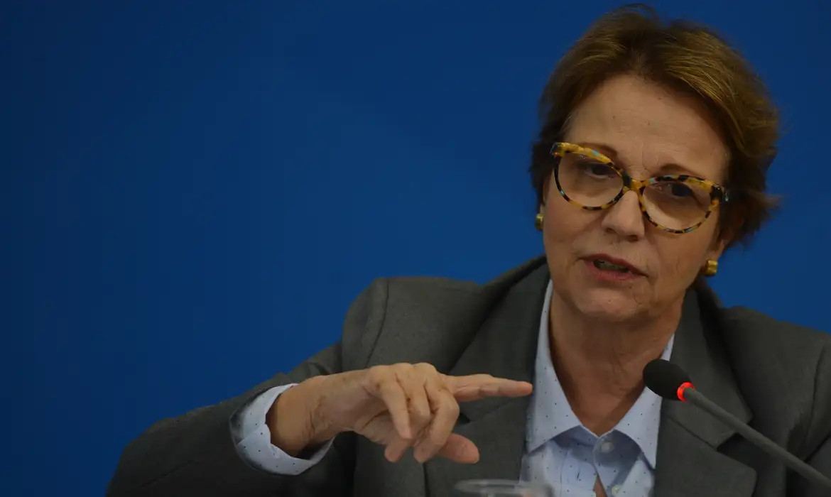 Uni&atilde;o-PP: cabe&ccedil;a de sardinha ou rabo de pescada?
