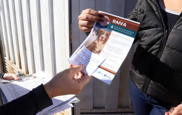 Campinas confirma 1&ordm; caso de raiva felina em 10 anos e acende alerta para vacina&ccedil;&atilde;o