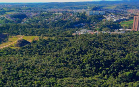 MPF vira coautor de a&ccedil;&atilde;o contra leil&atilde;o da Fazenda Remonta e pede travamento de atos