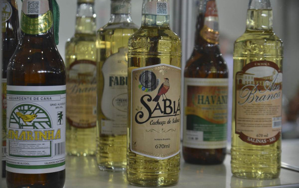 Cadeia produtiva da cacha&ccedil;a registra aumento