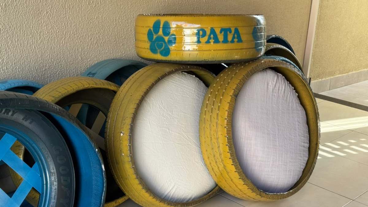 GO: Aparecida entrega camas a quem adotar c&atilde;es