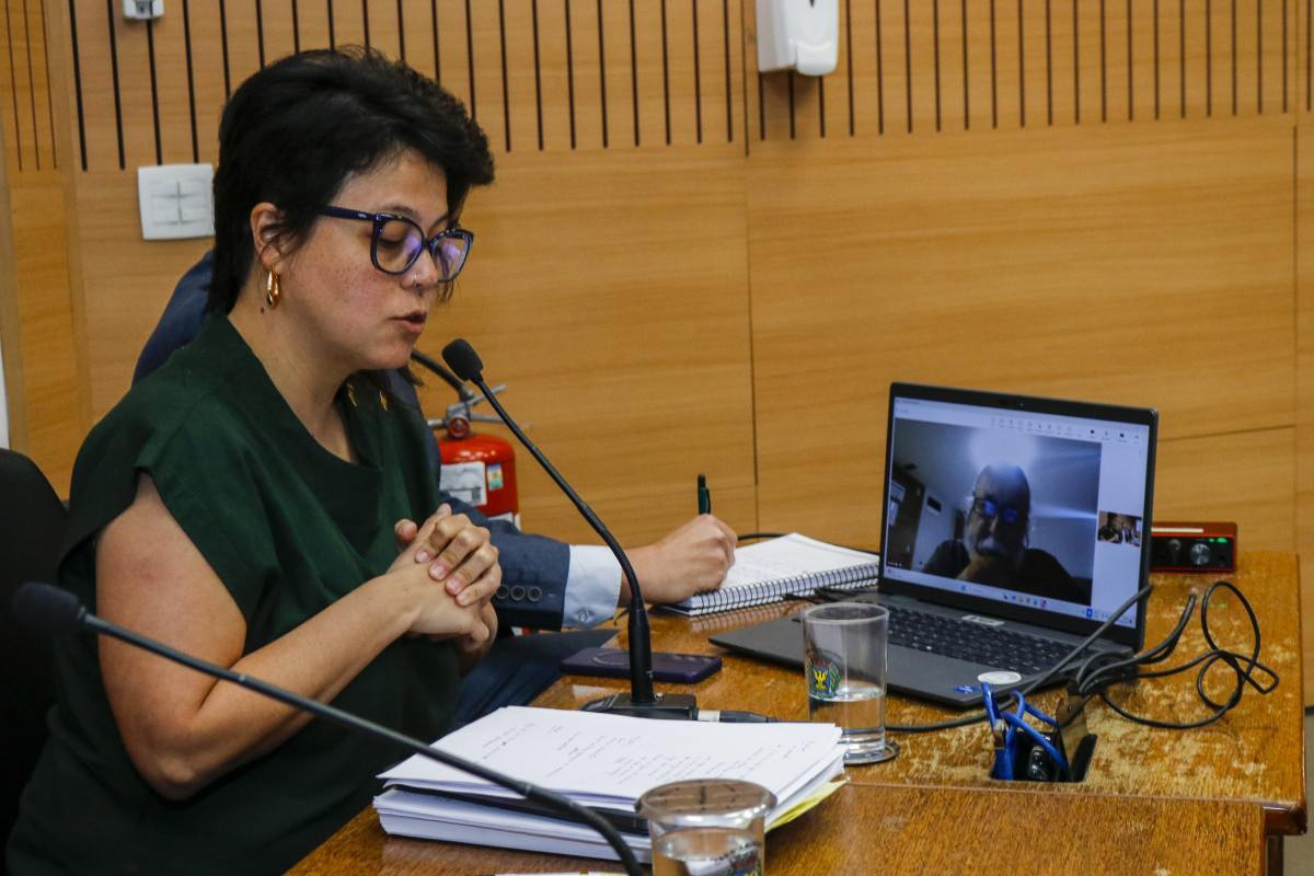 Mariana Conti critica aus&ecirc;ncia de Vini e empres&aacute;rios em oitivas da CP