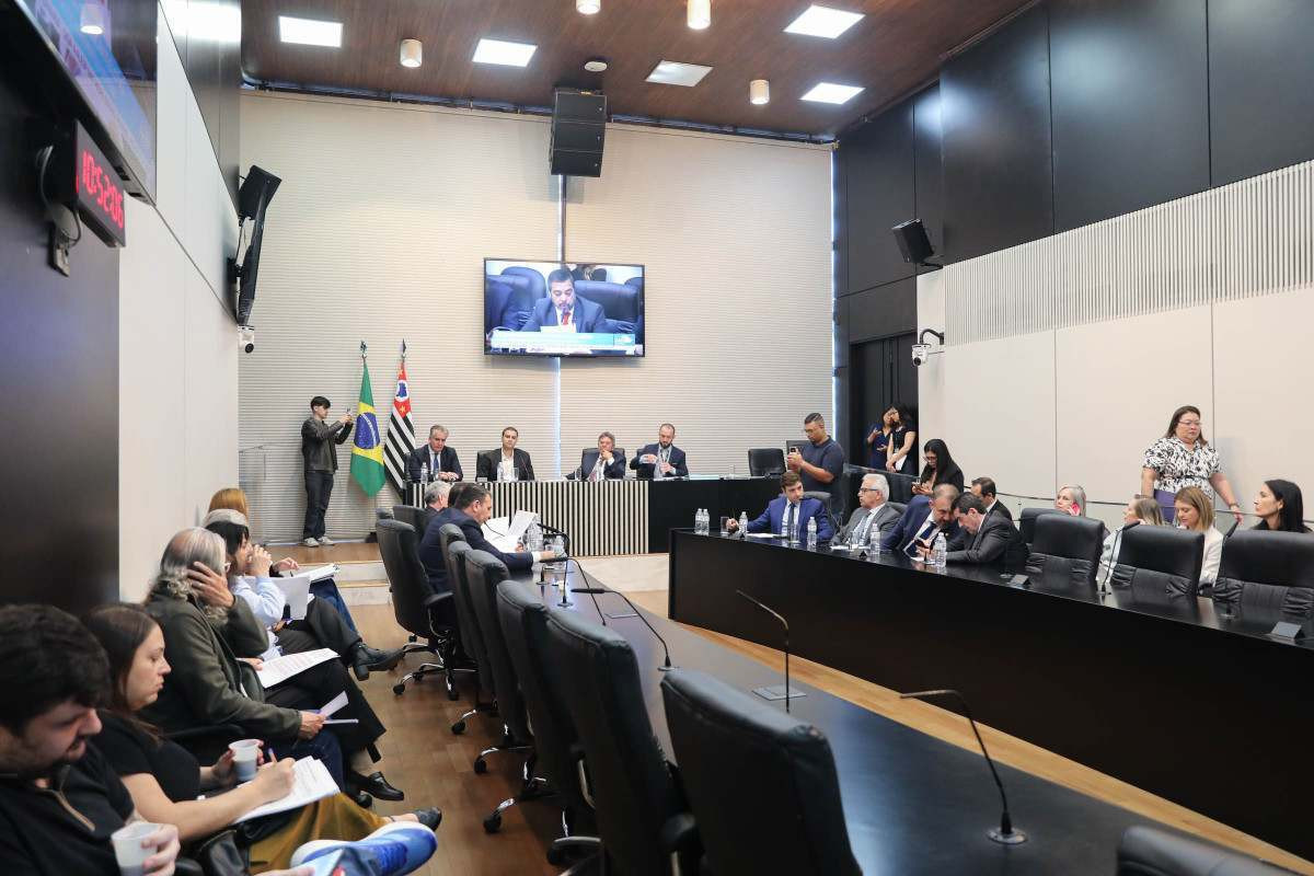CPI dos Lix&otilde;es encerra trabalhos com propostas para controle de res&iacute;duos em SP