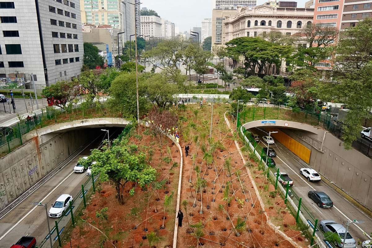 S&atilde;o Paulo entrega quatro novos bosques no Centro