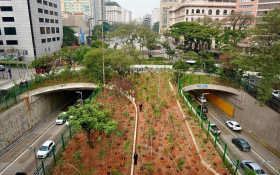 S&atilde;o Paulo entrega quatro novos bosques no Centro