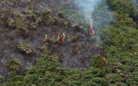 INEA investiga poss&iacute;vel origem humana de inc&ecirc;ndio no Caled&ocirc;nia