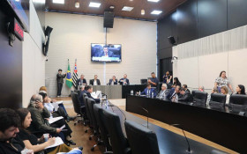 CPI dos Lix&otilde;es encerra trabalhos com propostas para controle de res&iacute;duos em SP