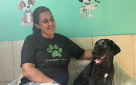 Nova Igua&ccedil;u quer conscientizar o povo sobre a ado&ccedil;&atilde;o de pets