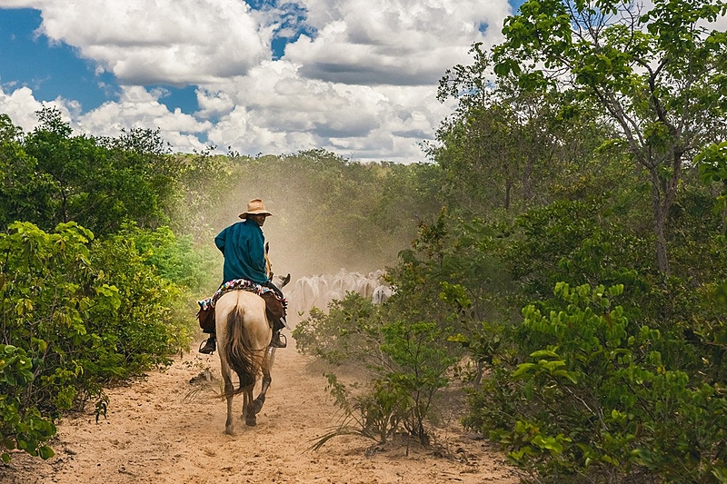 Incra reconhece comunidade rural tradicional na Bahia