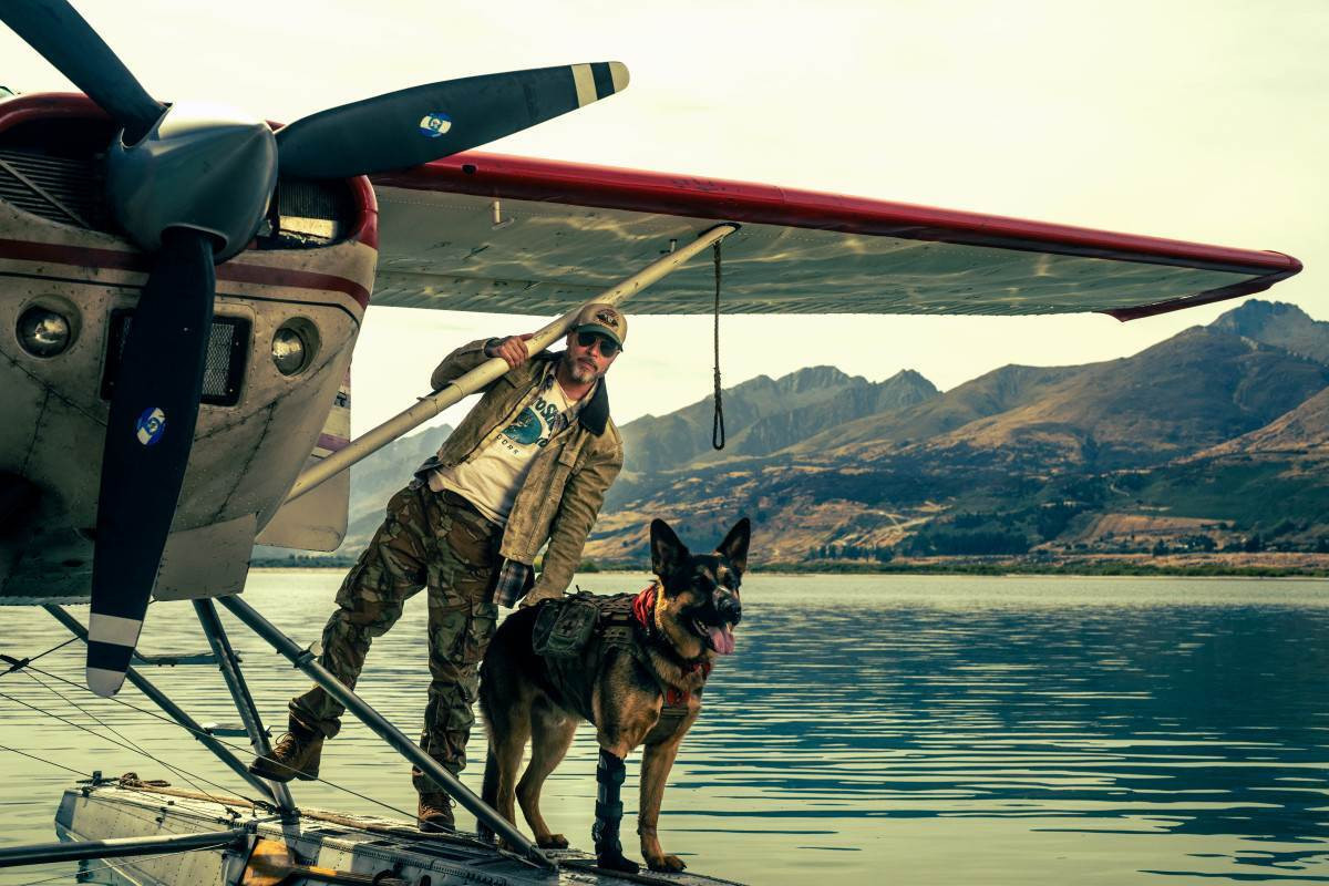 Cachorro rouba a cena em filme com Brad Pitt