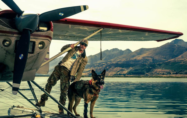 Cachorro rouba a cena em filme com Brad Pitt