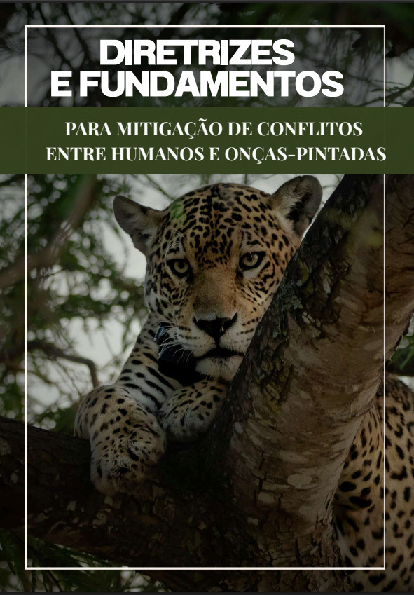 Universidade elabora documento sobre on&ccedil;as