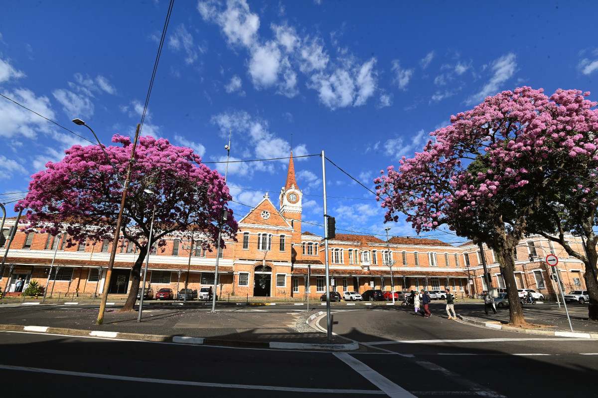 Esta&ccedil;&atilde;o Cultura: o transporte do "ouro verde" pelos trilhos