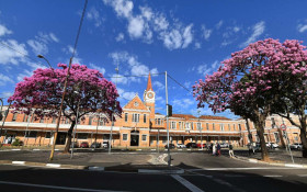 Esta&ccedil;&atilde;o Cultura: o transporte do "ouro verde" pelos trilhos
