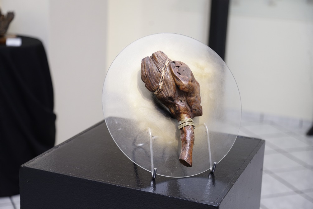 Mostra no Gacemss explora cria&ccedil;&atilde;o art&iacute;stica por esculturas em madeira