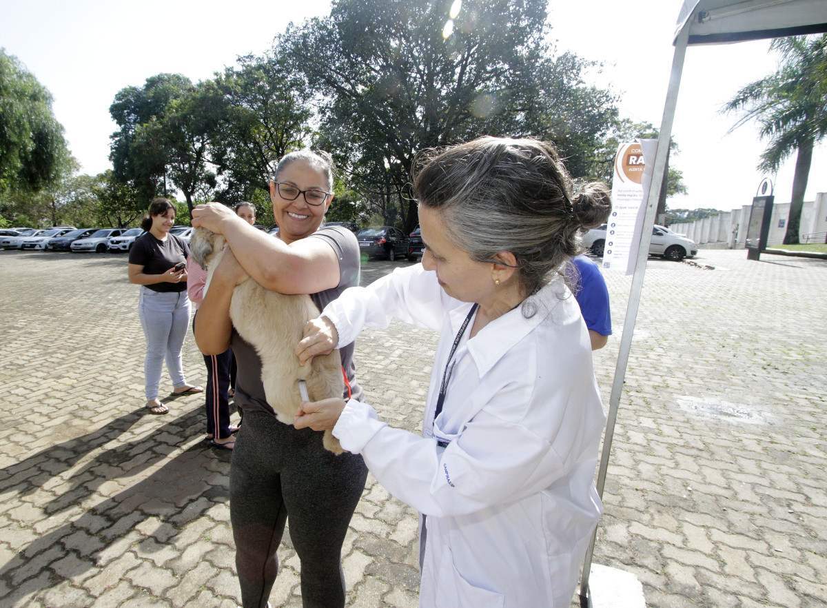 Secretaria de Sa&uacute;de de Campinas vacina 64 animais ap&oacute;s caso de raiva