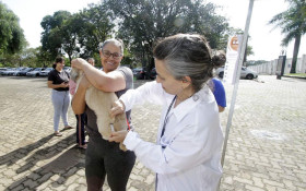 Secretaria de Sa&uacute;de de Campinas vacina 64 animais ap&oacute;s caso de raiva
