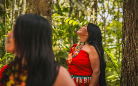 Homic&iacute;dios de mulheres ind&iacute;genas aumentam 500% em 20 anos, diz UFPR