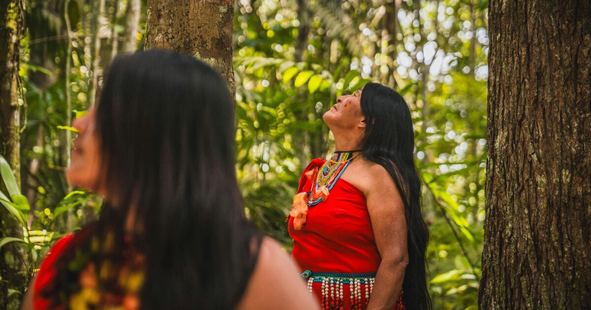 Homic&iacute;dios de mulheres ind&iacute;genas aumentam 500% em 20 anos, diz UFPR