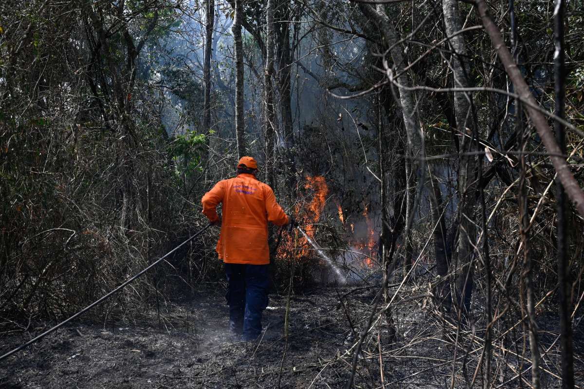 Defesa Civil alerta para risco de inc&ecirc;ndios na regi&atilde;o de Campinas