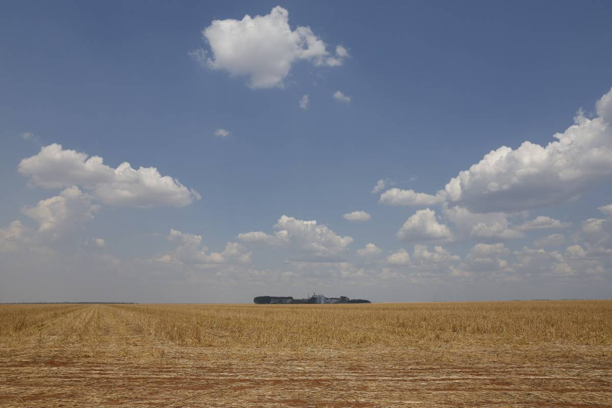 Agricultura empresarial contrata R$ 28 bi em cr&eacute;dito rural