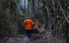 Defesa Civil alerta para risco de inc&ecirc;ndios na regi&atilde;o de Campinas