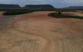 Menor vegeta&ccedil;&atilde;o nativa aumenta exposi&ccedil;&atilde;o do pa&iacute;s ao El Ni&ntilde;o
