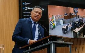 Projeto de Lei quer rotat&oacute;rias verdes em Campinas