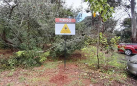 Americana confirma terceira morte por febre maculosa deste ano