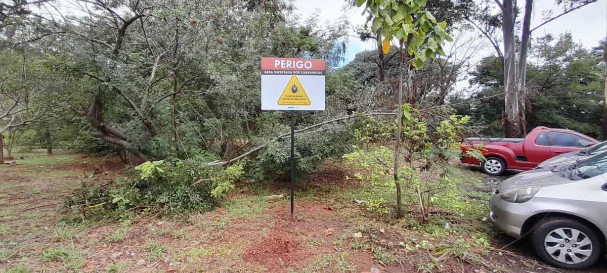 Americana confirma terceira morte por febre maculosa deste ano