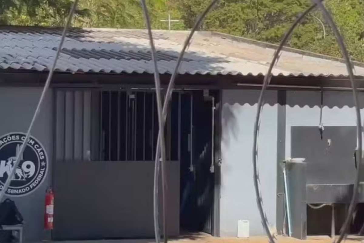 Veterin&aacute;ria atacada por cachorro na Esplanada dos Minist&eacute;rios segue em estado grave