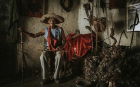 BRASILIANAS | Hoje, Dia da Fotografia tem visita guiada no Museu Nacional