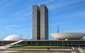 Veterin&aacute;ria atacada por c&atilde;o do Senado segue internada na UTI