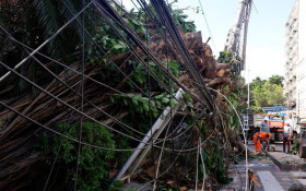 Respostas &agrave; crise clim&aacute;tica exigem inova&ccedil;&atilde;o, afirma setor el&eacute;trico