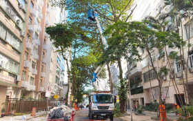 Corredores de Excel&ecirc;ncia avan&ccedil;am pela Rua Hil&aacute;rio de Gouveia, em Copacabana