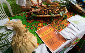 BRASILIANAS | Projeto fortalece culin&aacute;ria ancestral em territ&oacute;rios tradicionais do DF e Entorno&nbsp;